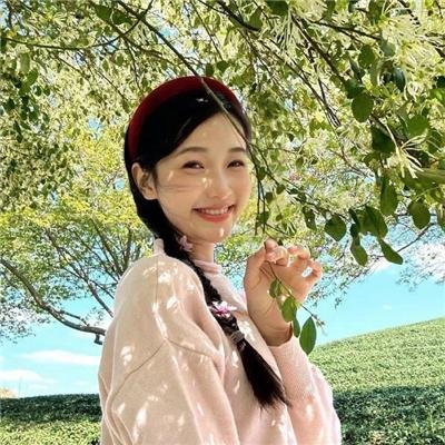 继承者们