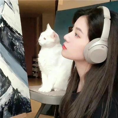 抢救基努猫